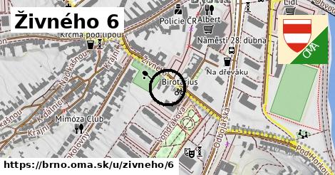 Živného 6, Brno