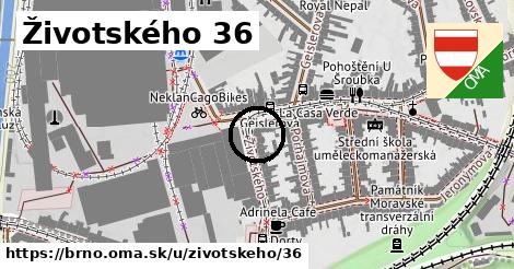 Životského 36, Brno