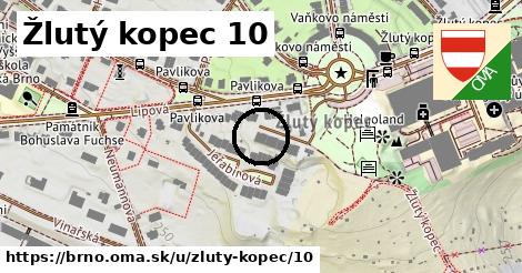 Žlutý kopec 10, Brno