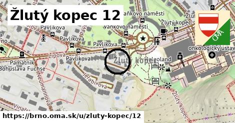 Žlutý kopec 12, Brno