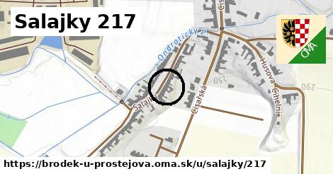 Salajky 217, Brodek u Prostějova