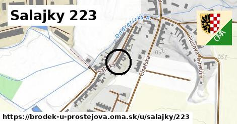 Salajky 223, Brodek u Prostějova