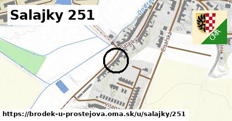 Salajky 251, Brodek u Prostějova