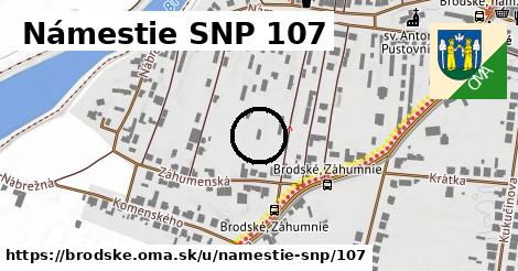 Námestie SNP 107, Brodské