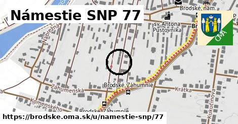 Námestie SNP 77, Brodské