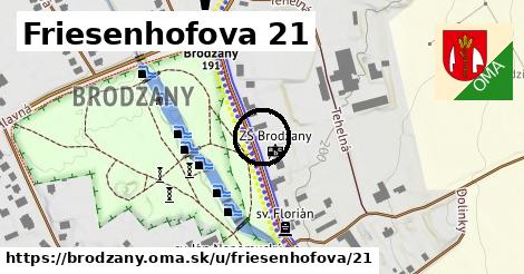 Friesenhofova 21, Brodzany