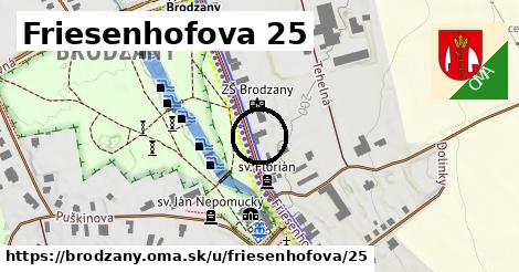 Friesenhofova 25, Brodzany