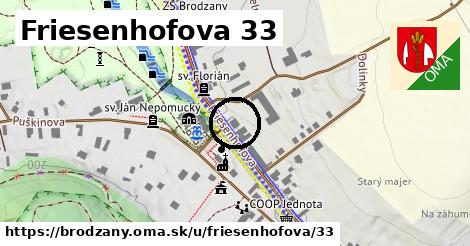 Friesenhofova 33, Brodzany