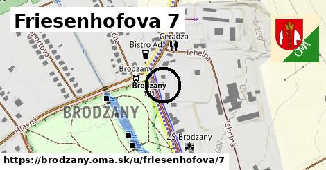 Friesenhofova 7, Brodzany