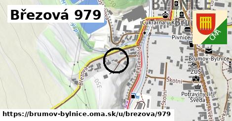 Březová 979, Brumov-Bylnice