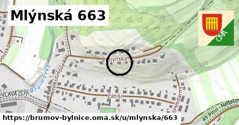 Mlýnská 663, Brumov-Bylnice