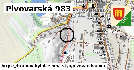 Pivovarská 983, Brumov-Bylnice