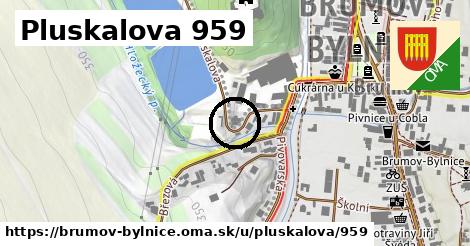 Pluskalova 959, Brumov-Bylnice