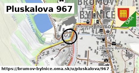 Pluskalova 967, Brumov-Bylnice