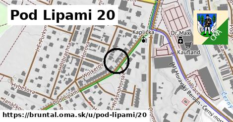 Pod Lipami 20, Bruntál