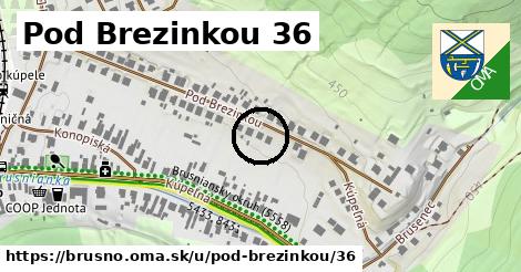 Pod Brezinkou 36, Brusno