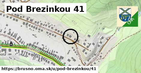 Pod Brezinkou 41, Brusno