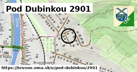 Pod Dubinkou 2901, Brusno