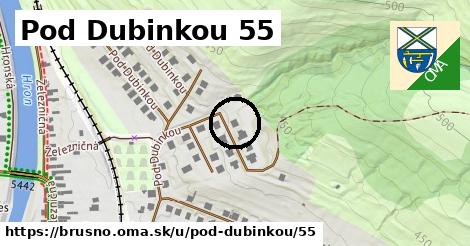 Pod Dubinkou 55, Brusno