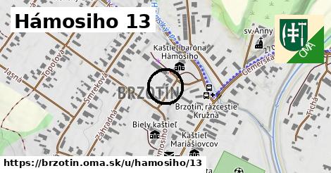 Hámosiho 13, Brzotín