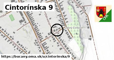 Cintorínska 9, Bučany