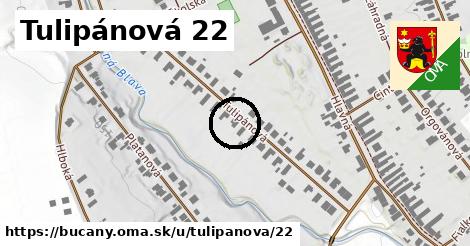 Tulipánová 22, Bučany