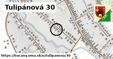 Tulipánová 30, Bučany