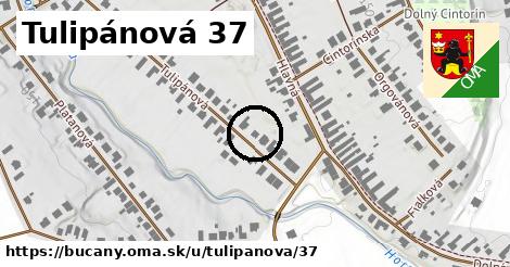 Tulipánová 37, Bučany