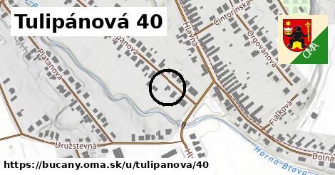 Tulipánová 40, Bučany