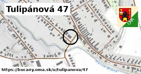 Tulipánová 47, Bučany