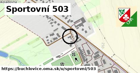 Sportovní 503, Buchlovice