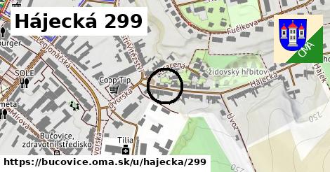 Hájecká 299, Bučovice
