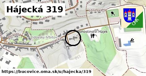 Hájecká 319, Bučovice