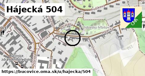 Hájecká 504, Bučovice