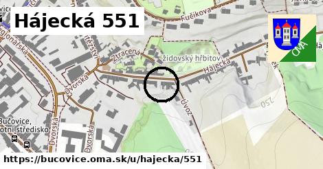 Hájecká 551, Bučovice