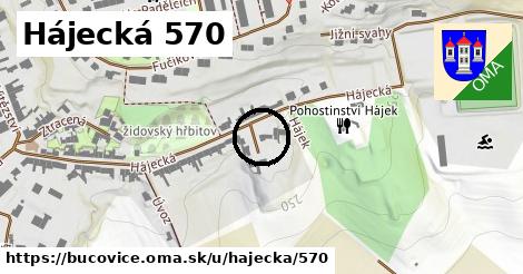 Hájecká 570, Bučovice