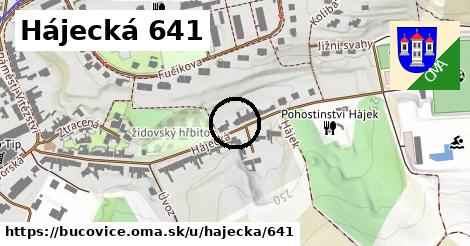 Hájecká 641, Bučovice