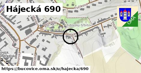 Hájecká 690, Bučovice