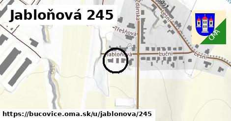 Jabloňová 245, Bučovice