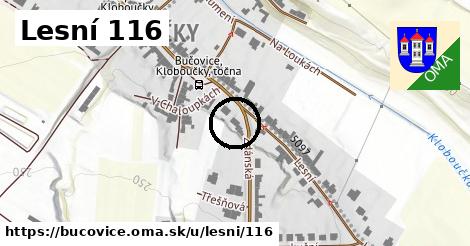 Lesní 116, Bučovice