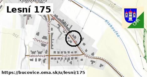 Lesní 175, Bučovice