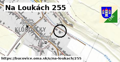 Na Loukách 255, Bučovice