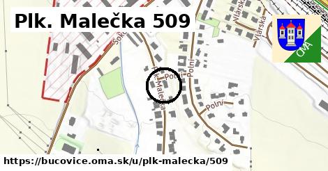 Plk. Malečka 509, Bučovice