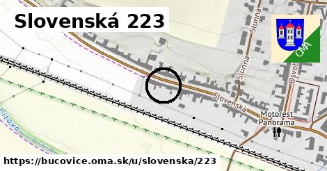 Slovenská 223, Bučovice