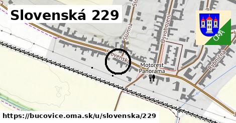 Slovenská 229, Bučovice