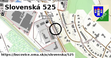 Slovenská 525, Bučovice