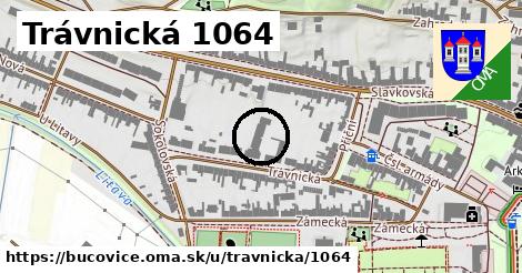 Trávnická 1064, Bučovice