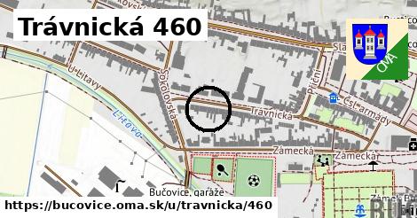Trávnická 460, Bučovice