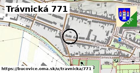 Trávnická 771, Bučovice