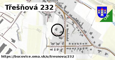 Třešňová 232, Bučovice